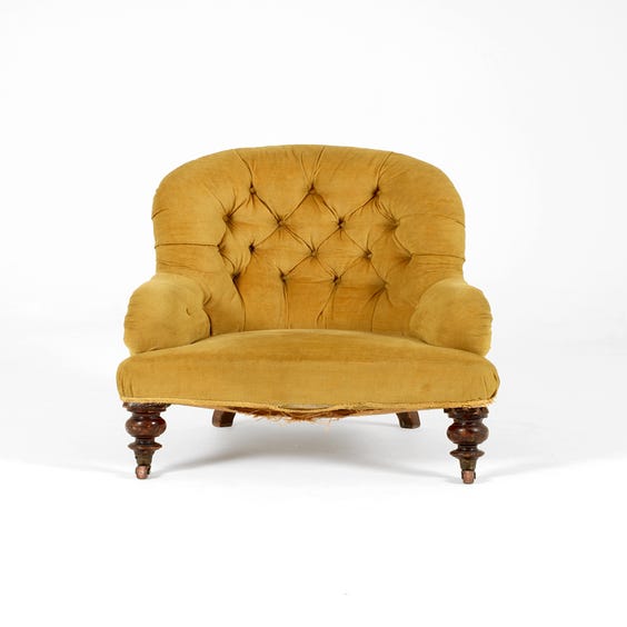 image of Victorian gold velvet tub armchair