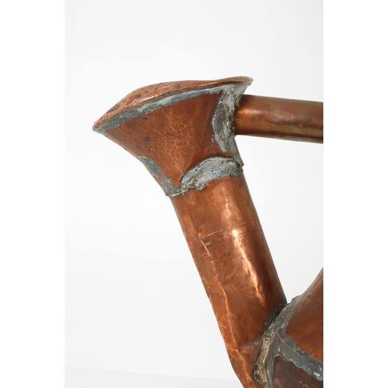 image of Antique hammered watering can