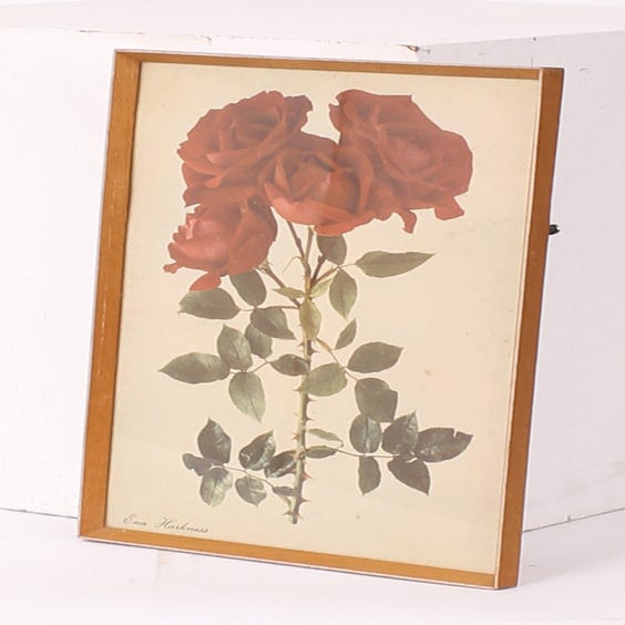 image of Ena Harkness red rose print