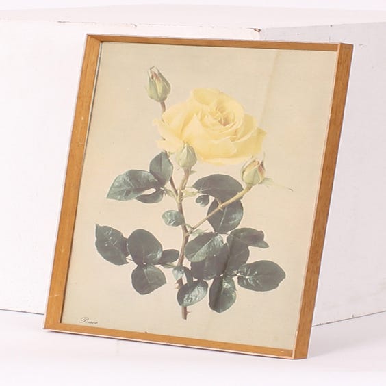 image of Peace yellow rose print