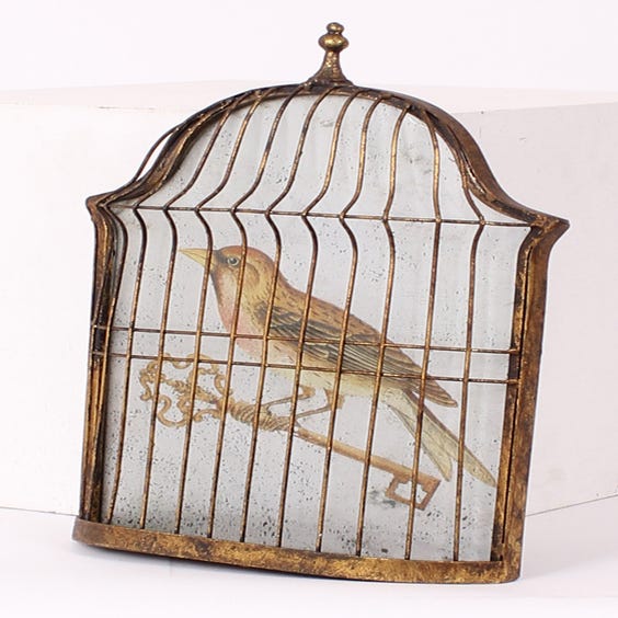 image of Mirrored golden bird in 3D cage
