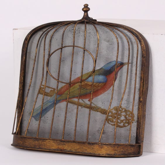 image of Mirrored bright bird in 3D cage