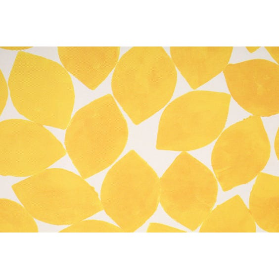 image of 1970's style lemon pattern sun lounger