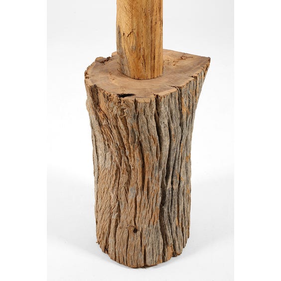 image of Primitive tree coat stand