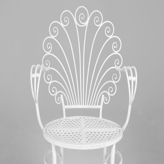 image of White garden metal chair