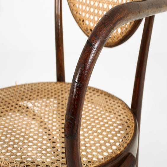 image of Vintage bentwood carver chair