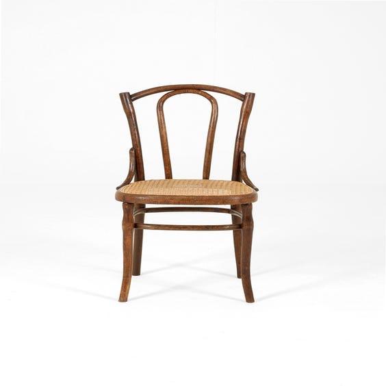 image of Vintage bentwood chair