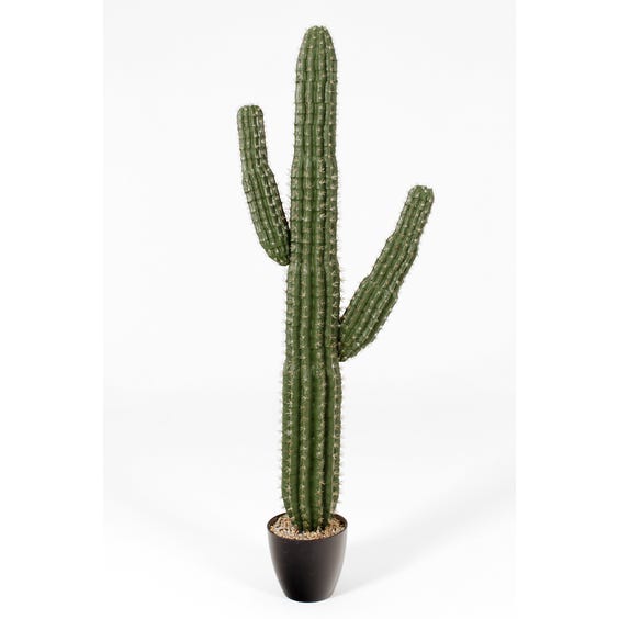 image of Large artificial Saguaro cactus