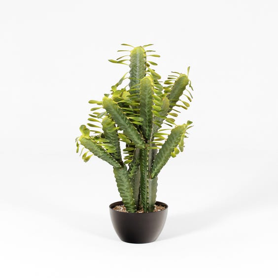 image of Artificial green Trigona succulent