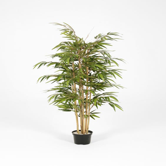 image of Artificial Japanese bamboo plant