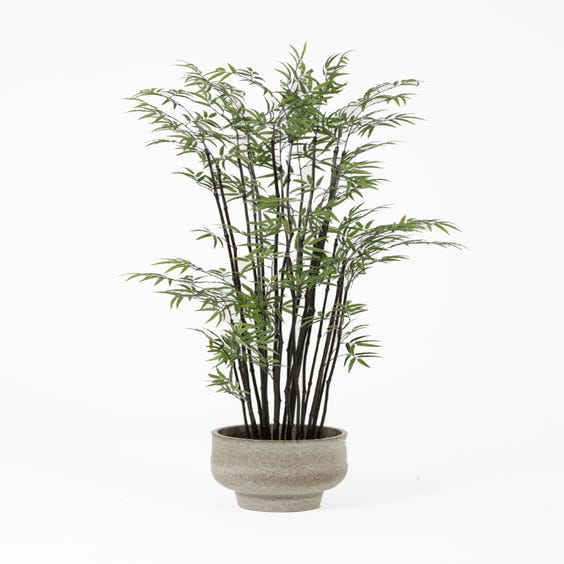 image of Artificial black stemmed bamboo tree