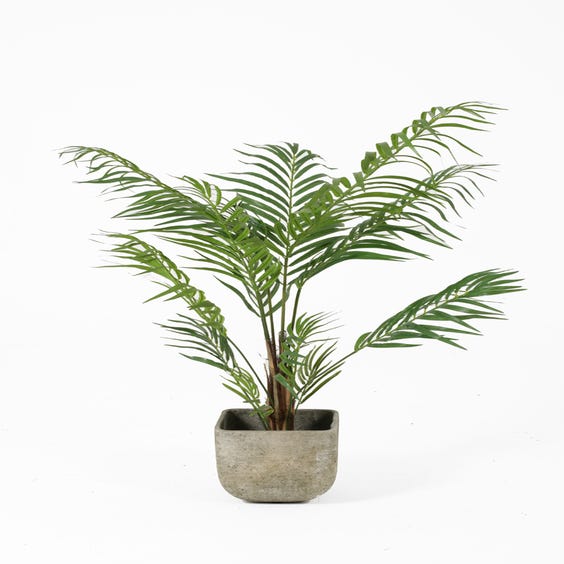 image of Medium artificial Areca palm