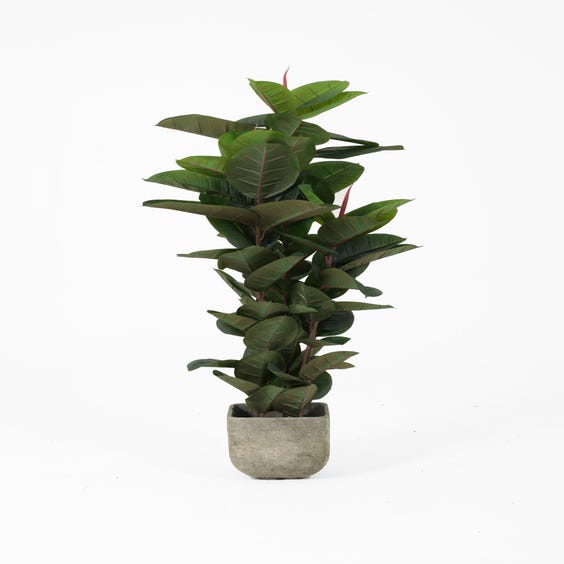 image of Artificial rubber plant