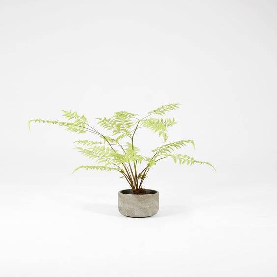 image of Medium artificial green fern plant