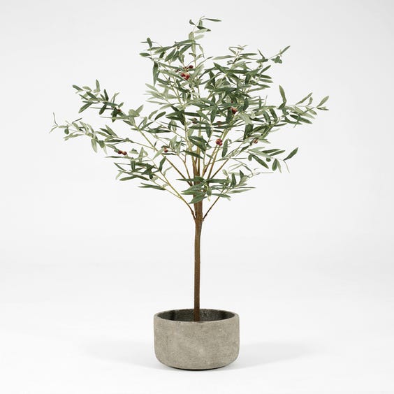 image of Small artificial olive tree