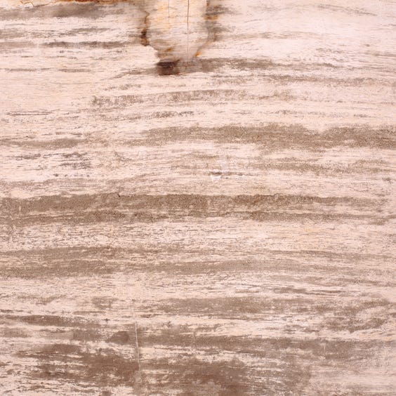 image of Oblong petrified wood slab