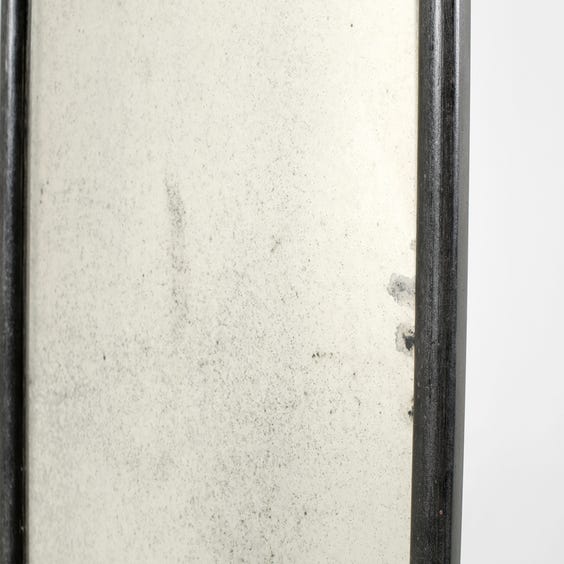 image of Foxed narrow rectangular mirror