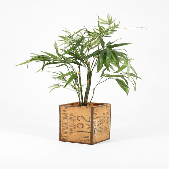 image of Rustic wooden tea crate planter