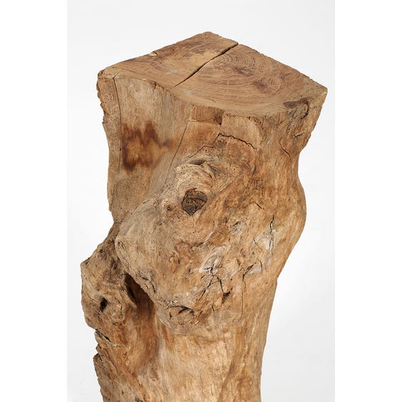 image of Primitive raw carved architectural plinth