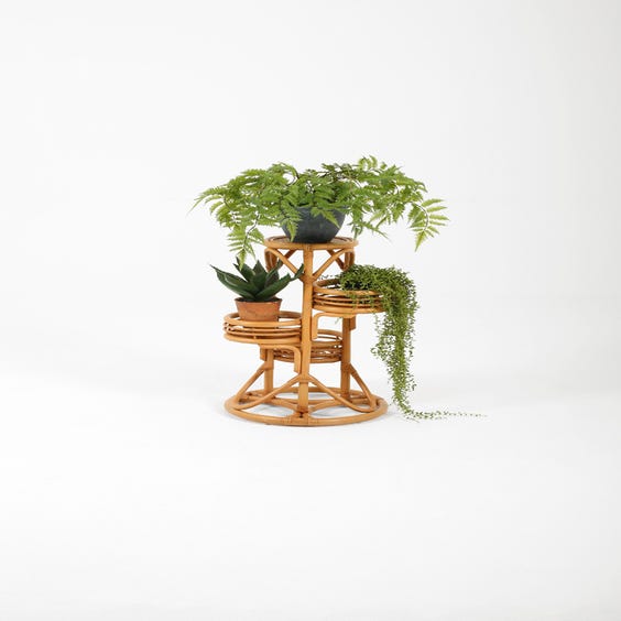 image of Midcentury circular rattan plant stand