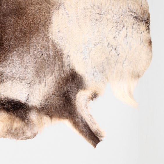 image of Large reindeer hide rug