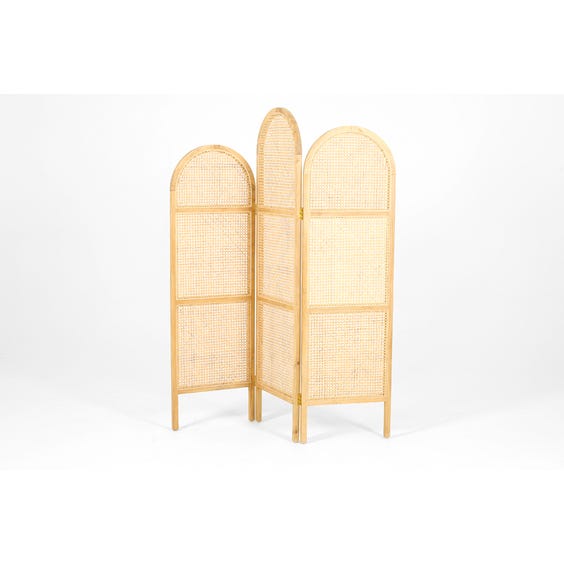 image of Rattan and bleached wooden screen