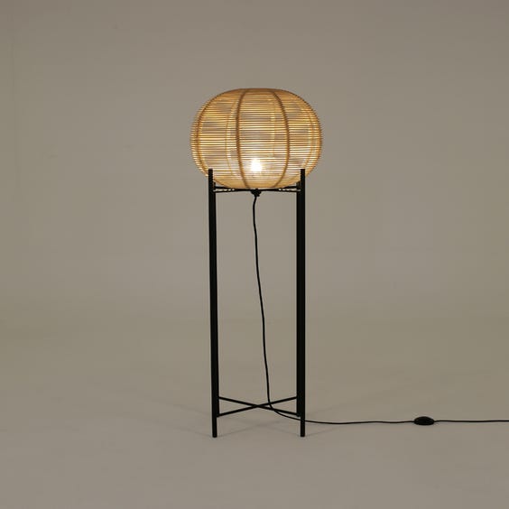 image of Large rattan egg lamp