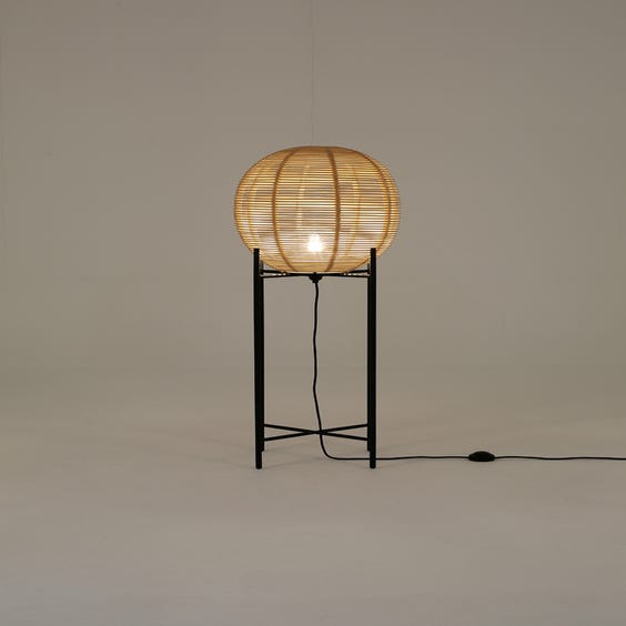 image of Medium rattan egg lamp