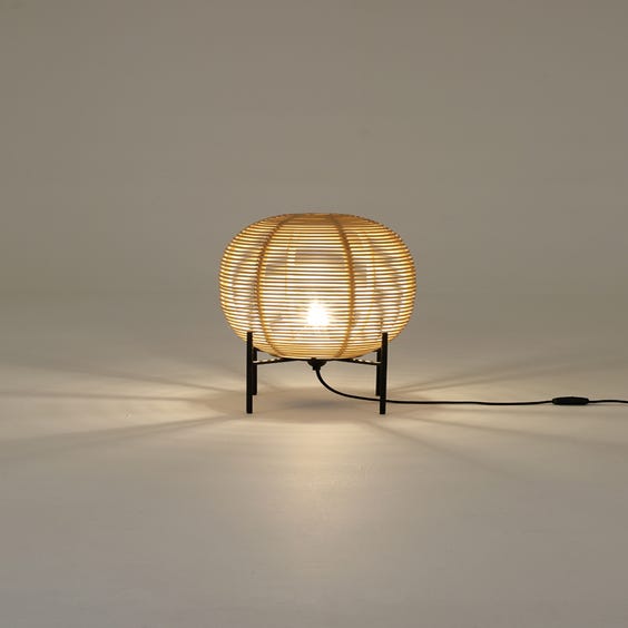image of Small rattan egg lamp