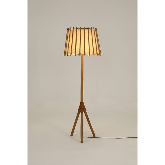 image of Midcentury rattan floor lamp