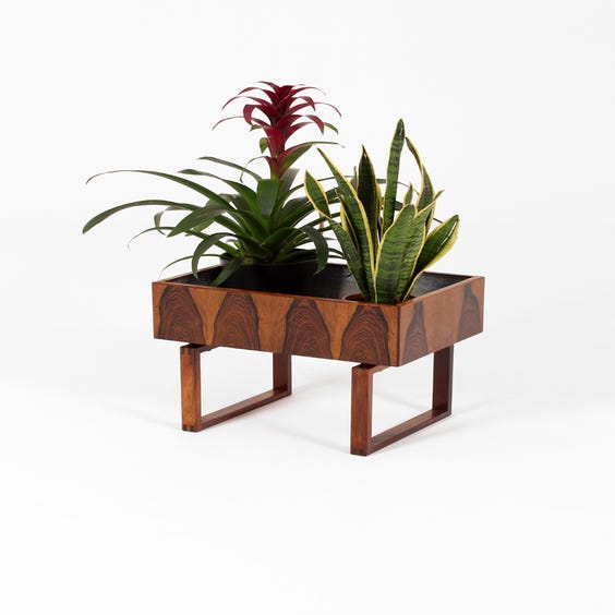 image of Midcentury rosewood plant stand