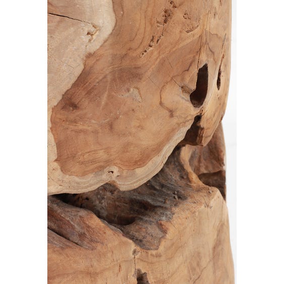 image of  Light wood organic root side table