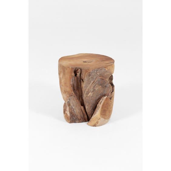 image of Organic root side table