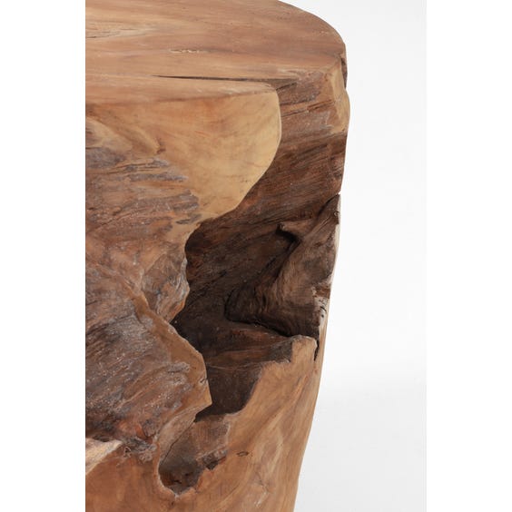image of Organic root side table